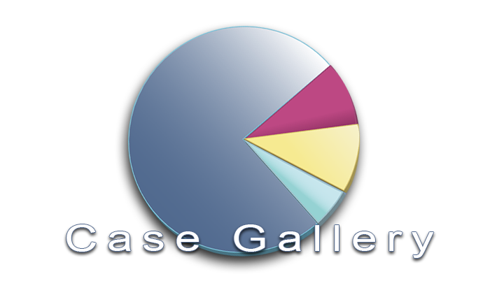 Case-Gallery